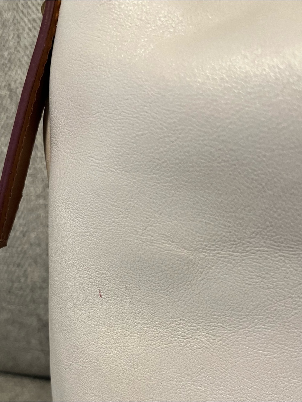 Dooney & Bourke Florentine Hobo Ecru - Picture 3 of 14